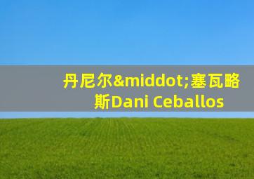 丹尼尔·塞瓦略斯Dani Ceballos